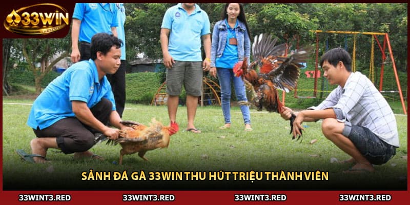 Sảnh đá gà 33WIN thu hút triệu thành viên